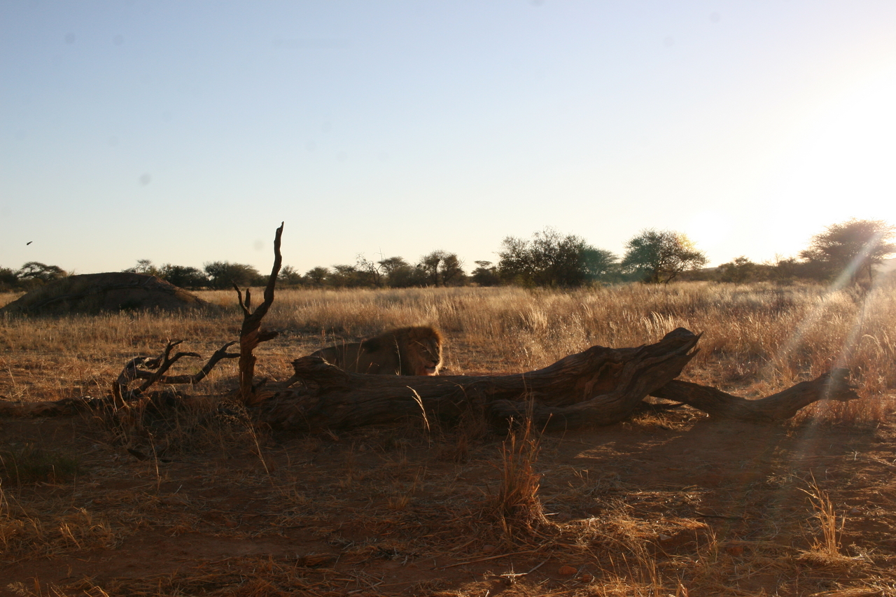 [8778] 2016_06_23_12_01_41_Africa_Canon_EOS_30D_IMG_1959_00224.jpg