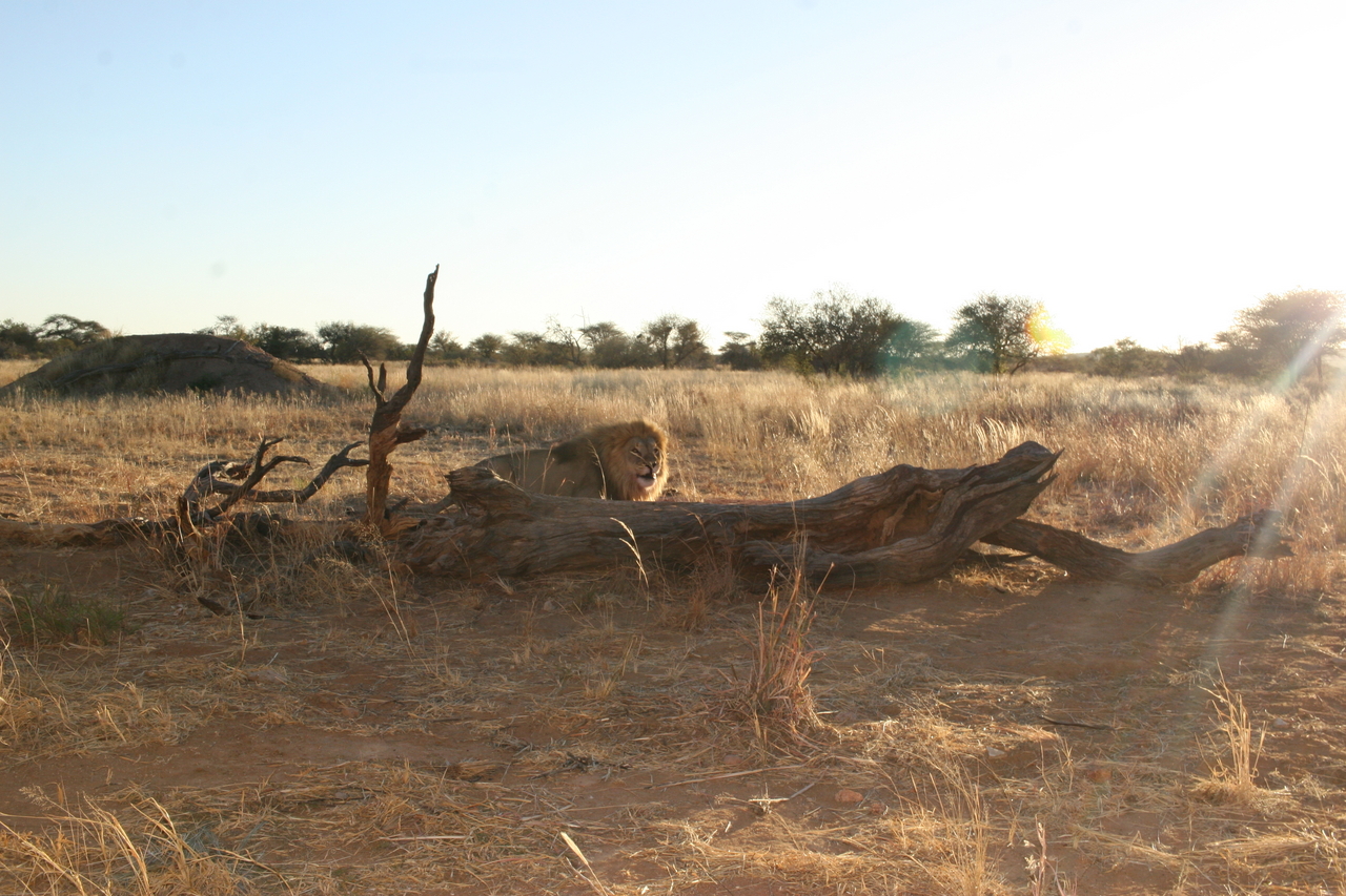 [8787] 2016_06_23_12_01_54_Africa_Canon_EOS_30D_IMG_1963_00407.jpg