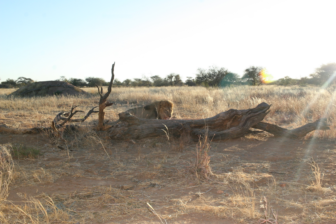 [8789] 2016_06_23_12_01_56_Africa_Canon_EOS_30D_IMG_1964_00408.jpg