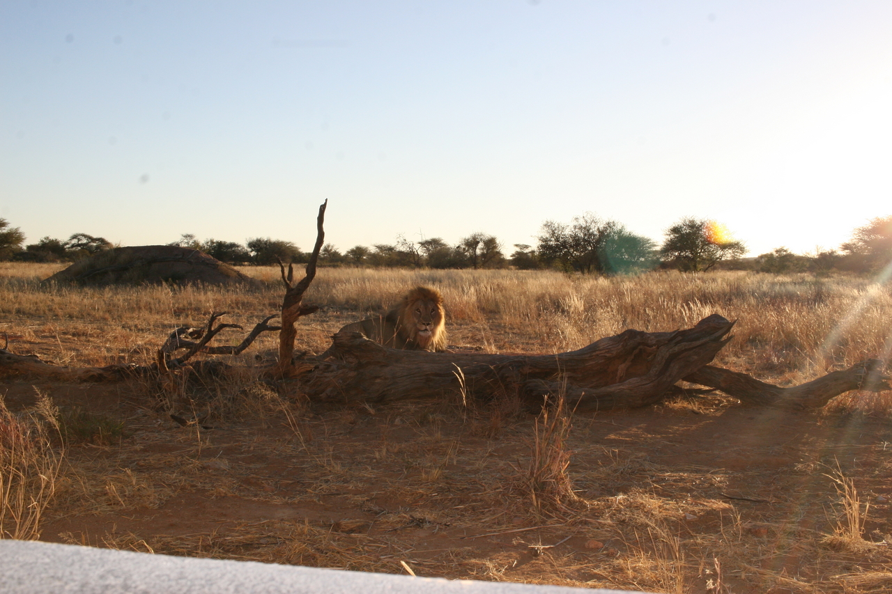 [8790] 2016_06_23_12_02_23_Africa_Canon_EOS_30D_IMG_1965_00230.jpg