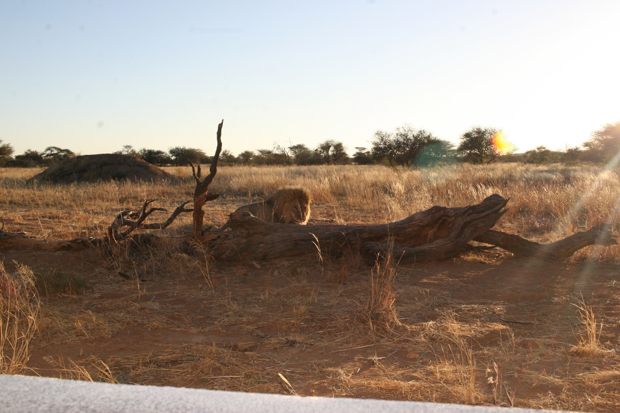 [8793] 2016_06_23_12_02_25_Africa_Canon_EOS_30D_IMG_1966_00410.jpg