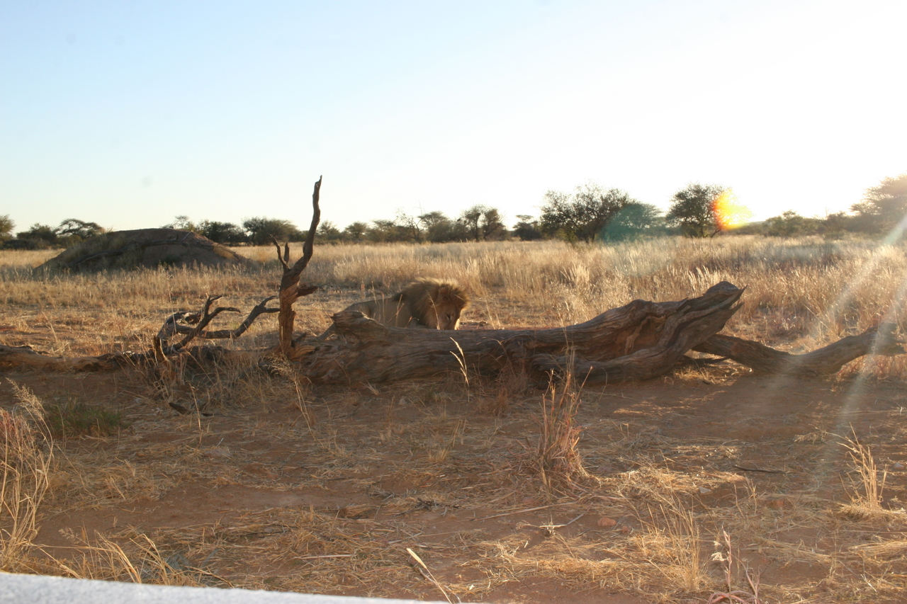 [8795] 2016_06_23_12_03_42_Africa_Canon_EOS_30D_IMG_1967_00411.jpg