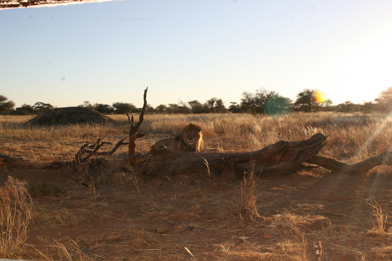 [8797] 2016_06_23_12_04_14_Africa_Canon_EOS_30D_IMG_1968_00412.jpg