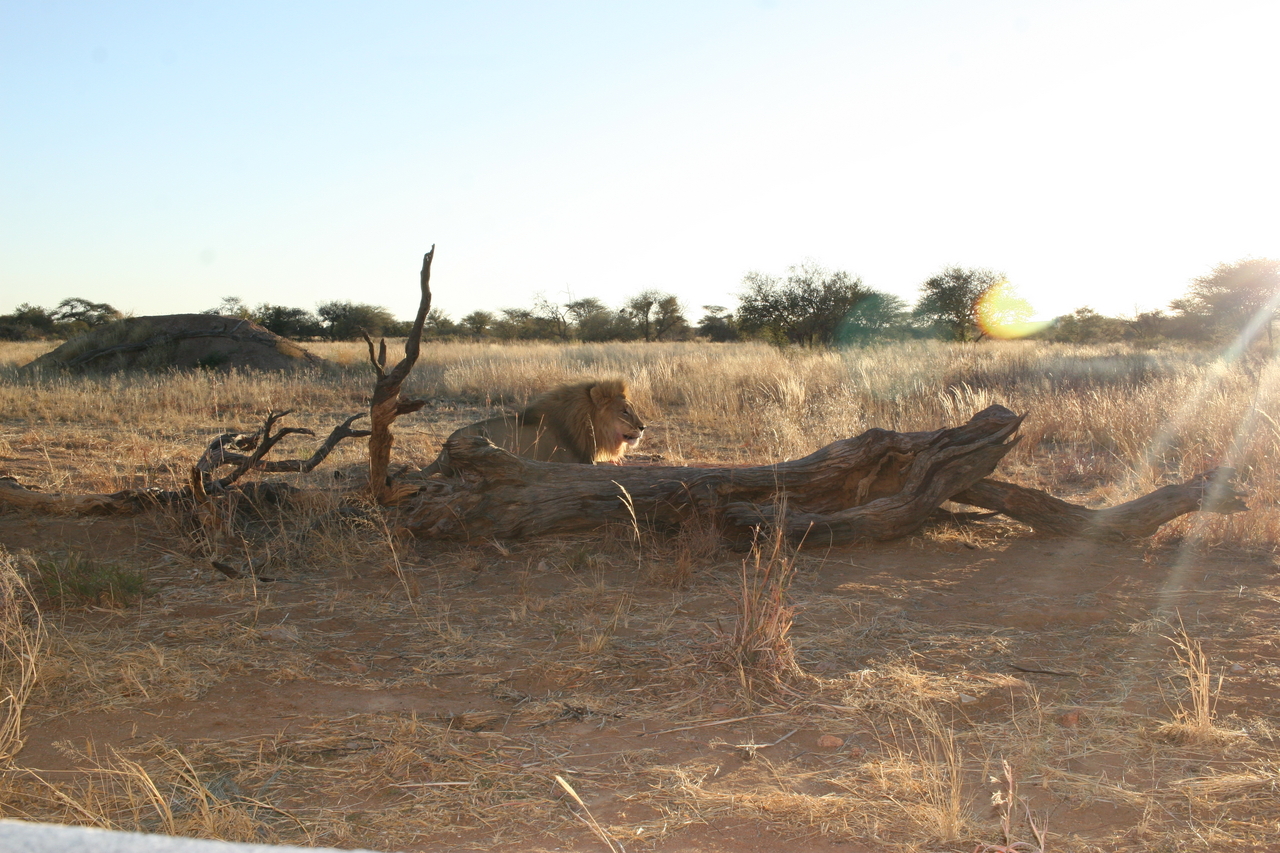[8800] 2016_06_23_12_05_03_Africa_Canon_EOS_30D_IMG_1970_00235.jpg