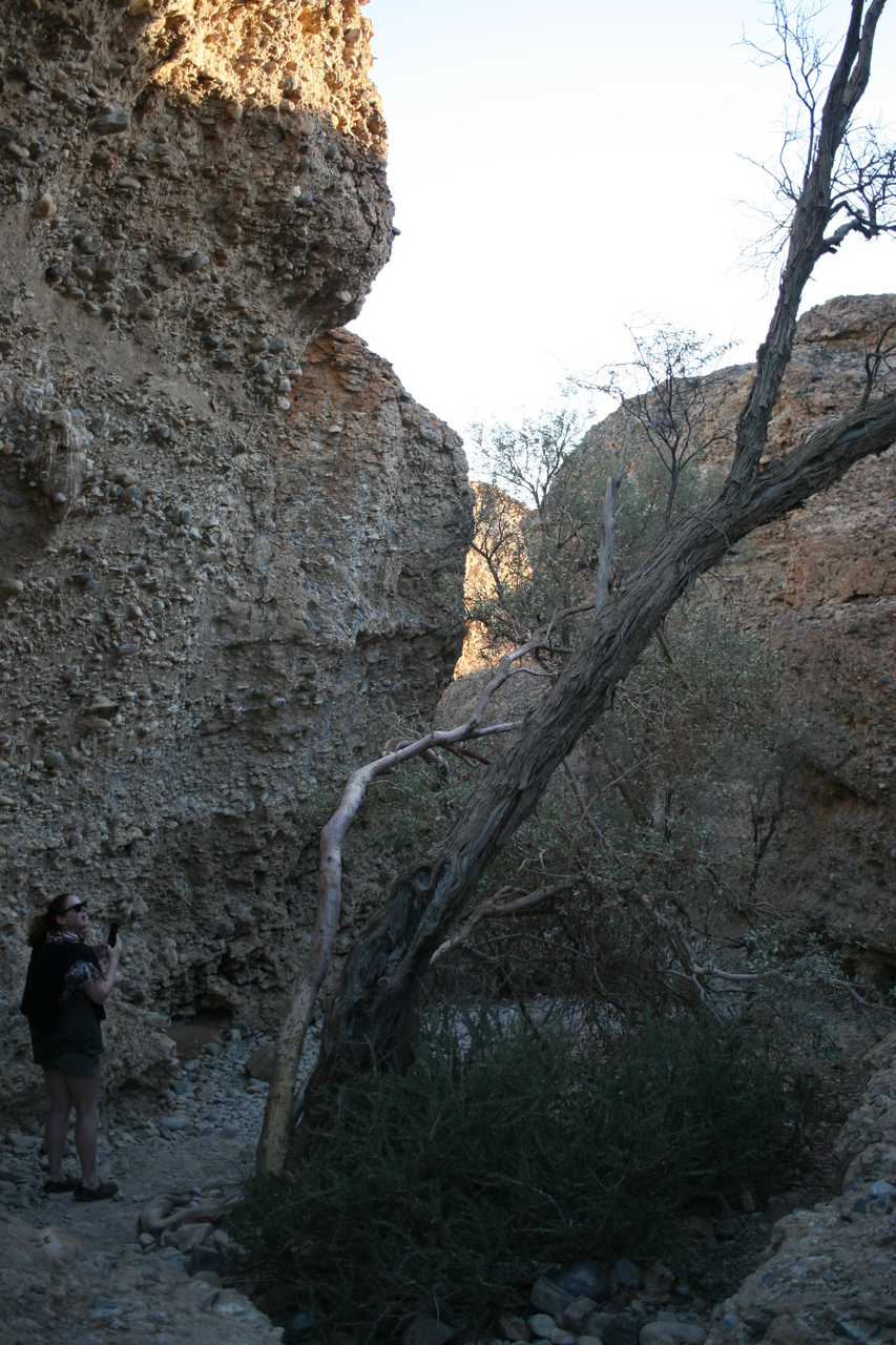 [14004] 2016_06_24_11_49_04_Africa_Canon_EOS_30D_IMG_1989_00254.jpg