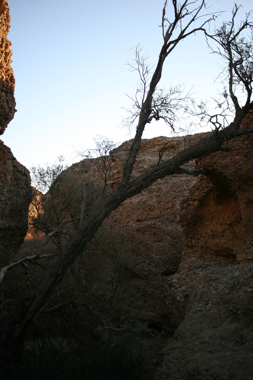 [14007] 2016_06_24_11_49_26_Africa_Canon_EOS_30D_IMG_1990_00434.jpg