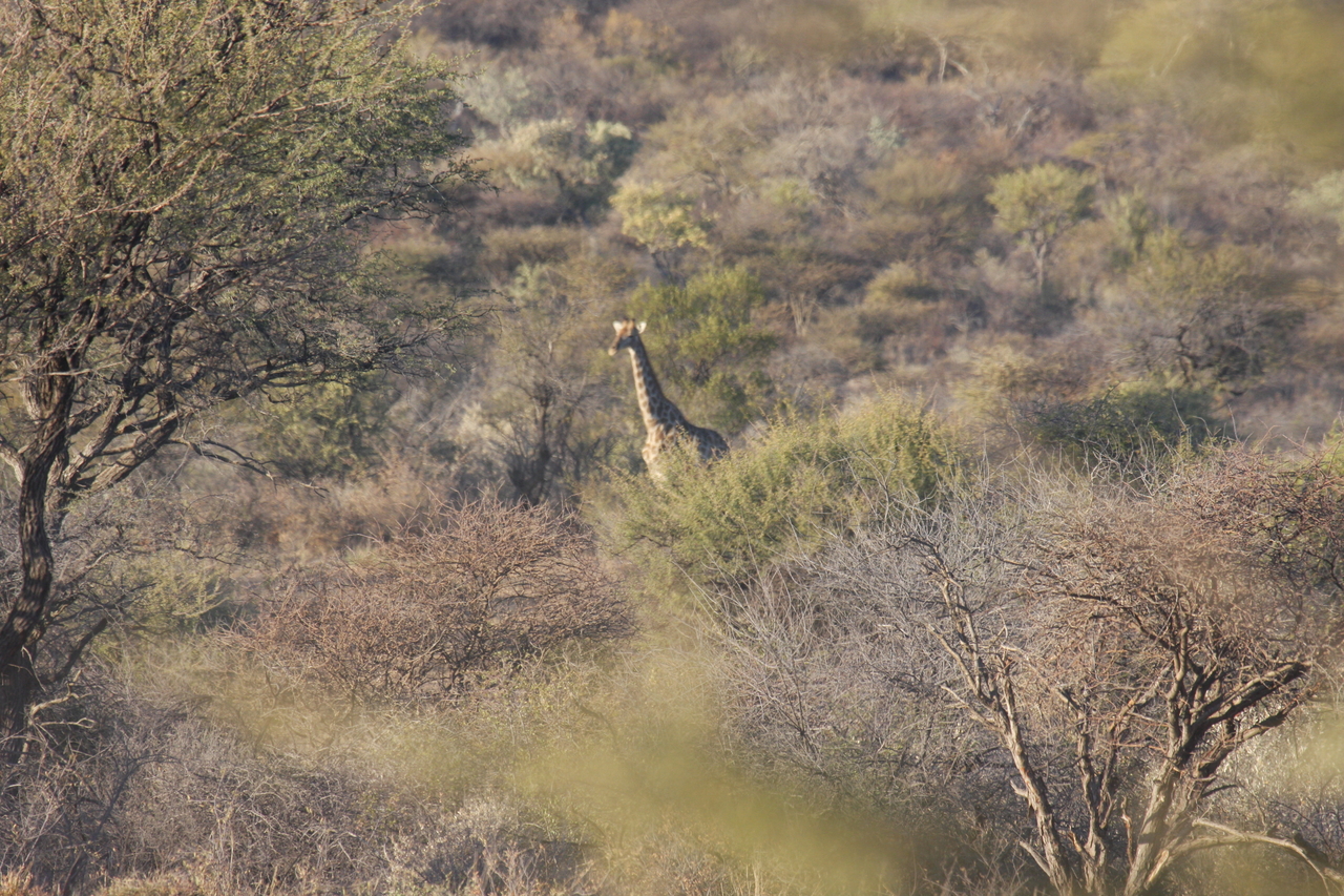 [522] 2016_06_22_02_09_18_Africa_Canon_EOS_40D_IMG__07470.jpg