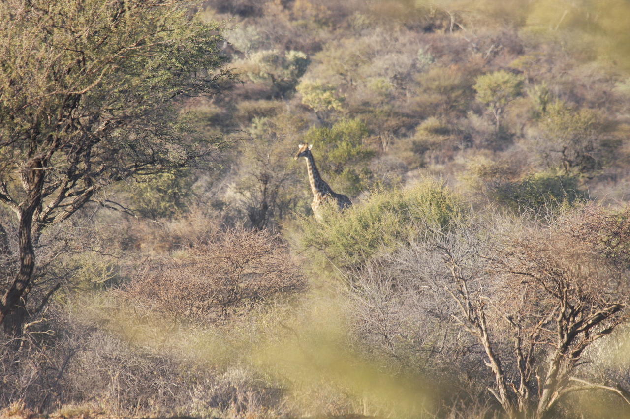 [525] 2016_06_22_02_09_19_Africa_Canon_EOS_40D_IMG__07471.jpg