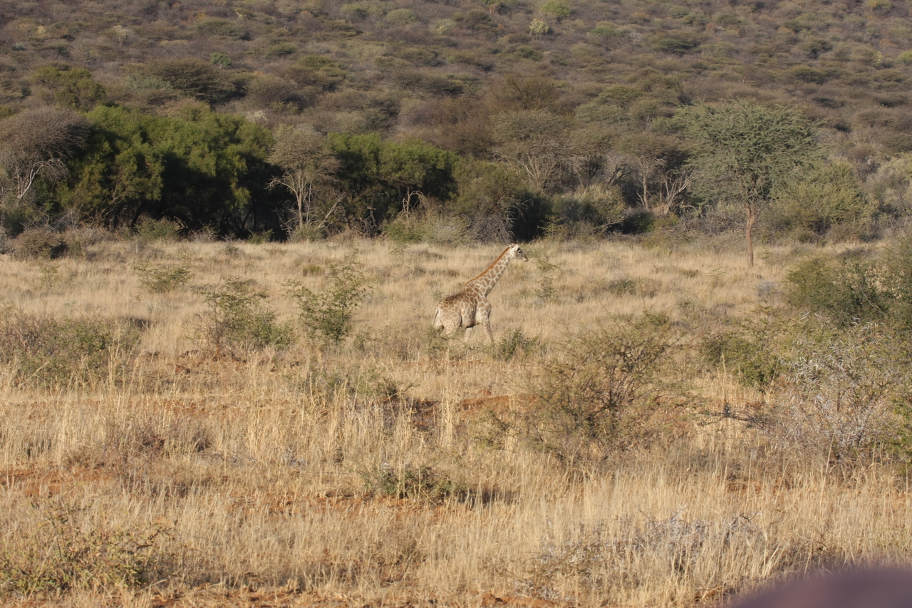 [526] 2016_06_22_02_14_17_Africa_Canon_EOS_40D_IMG__00006.jpg