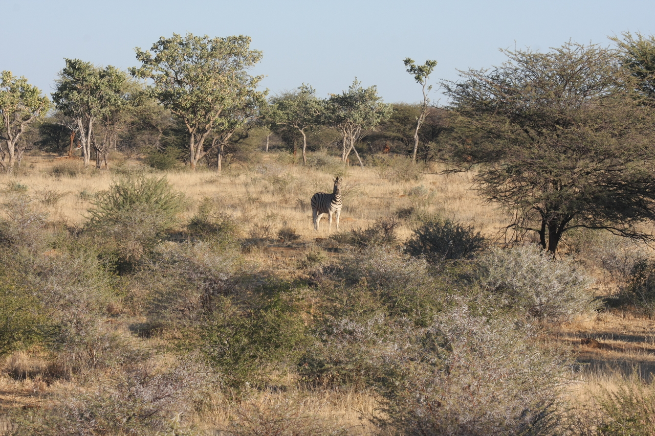 [605] 2016_06_22_02_16_39_Africa_Canon_EOS_40D_IMG__00031.jpg