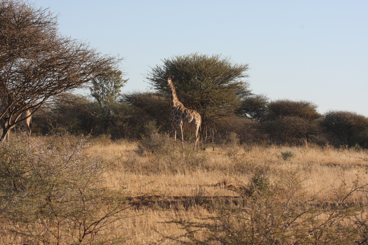 [624] 2016_06_22_02_17_45_Africa_Canon_EOS_40D_IMG__00056.jpg