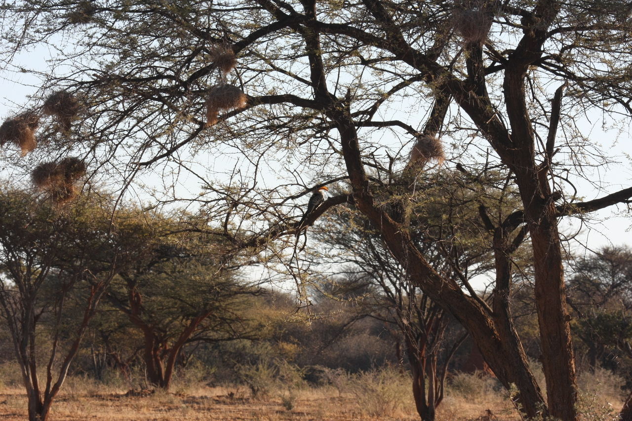 [643] 2016_06_22_02_23_09_Africa_Canon_EOS_40D_IMG__00043.jpg