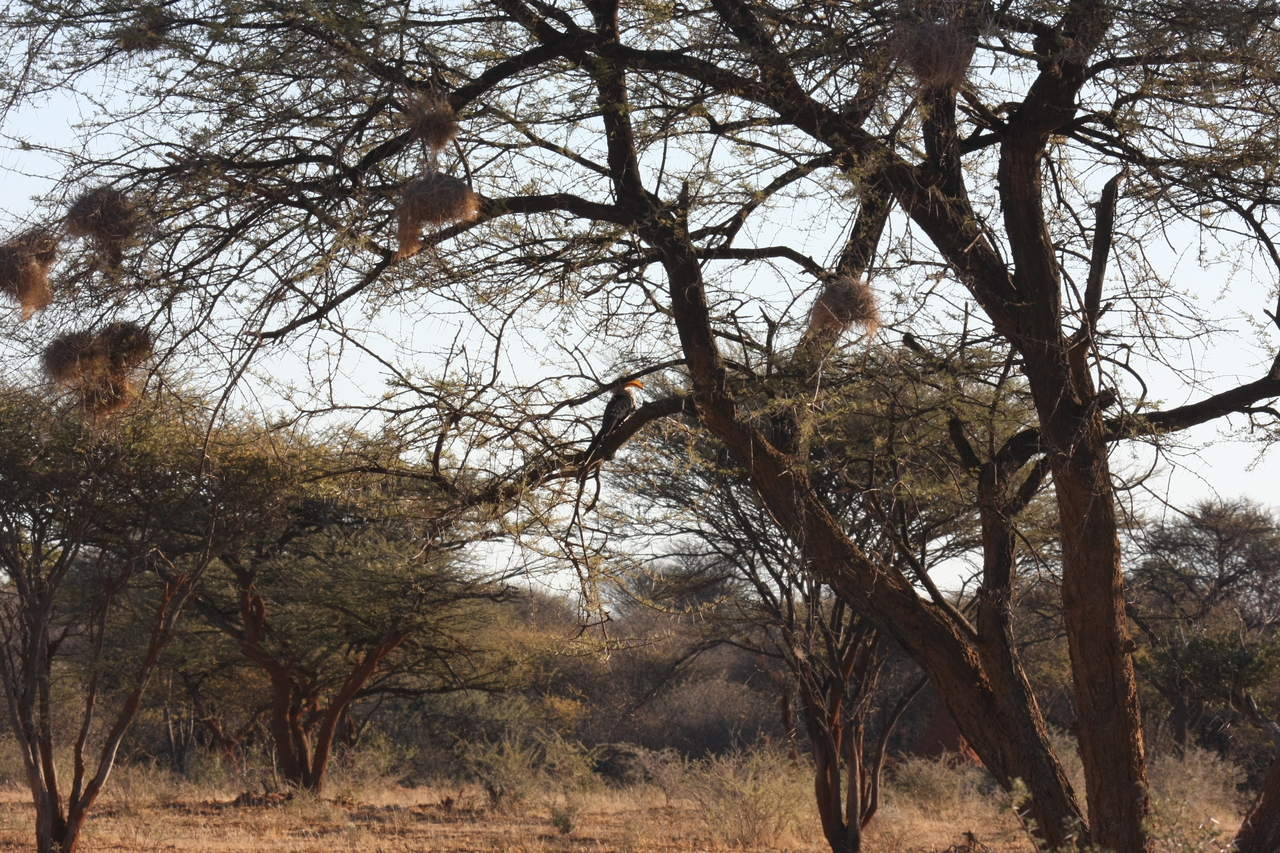 [644] 2016_06_22_02_23_09_Africa_Canon_EOS_40D_IMG__00060.jpg