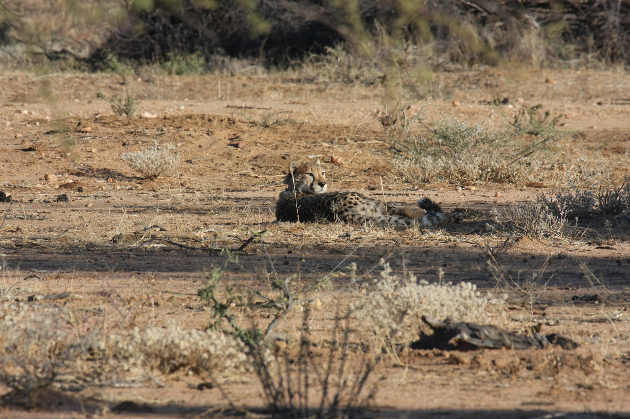 [739] 2016_06_22_02_43_16_Africa_Canon_EOS_40D_IMG__07533.jpg