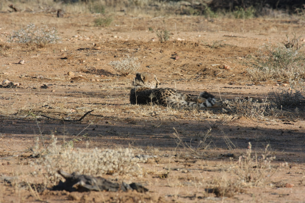 [755] 2016_06_22_02_43_46_Africa_Canon_EOS_40D_IMG__00073.jpg