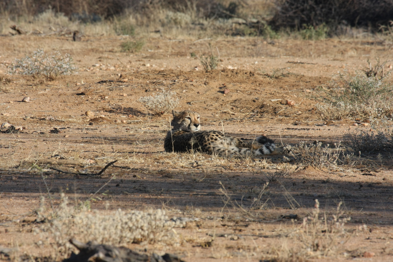 [758] 2016_06_22_02_43_58_Africa_Canon_EOS_40D_IMG__00074.jpg