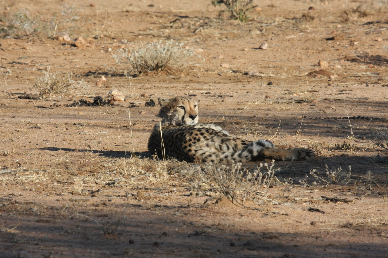 [764] 2016_06_22_02_44_45_Africa_Canon_EOS_40D_IMG__00095.jpg