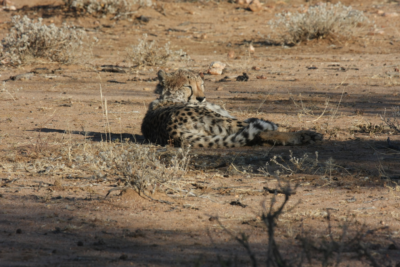 [770] 2016_06_22_02_44_58_Africa_Canon_EOS_40D_IMG__00097.jpg