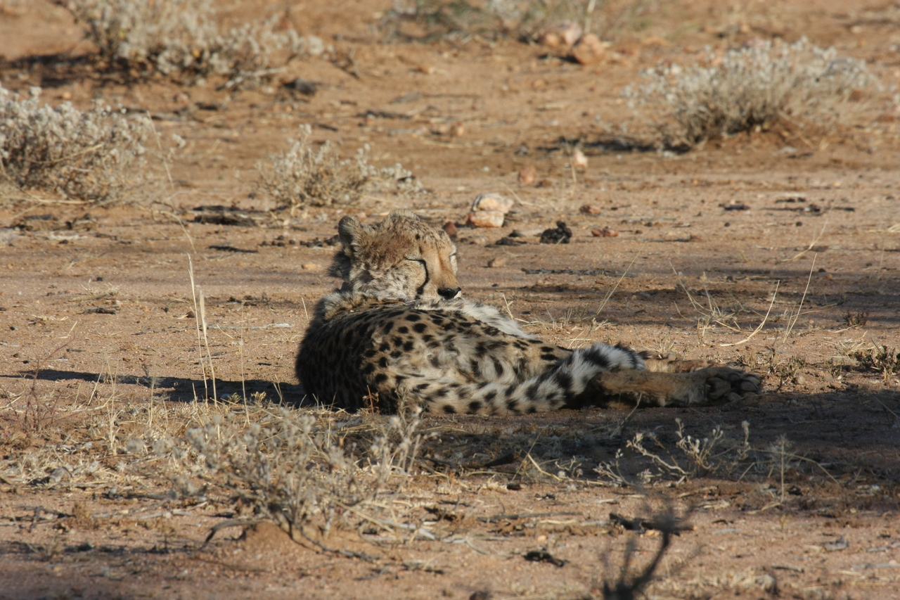 [776] 2016_06_22_02_45_05_Africa_Canon_EOS_40D_IMG__00099.jpg