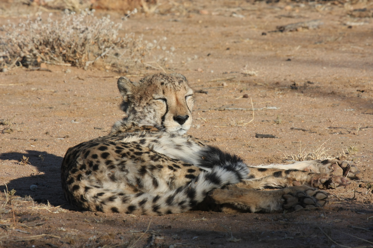 [787] 2016_06_22_02_45_54_Africa_Canon_EOS_40D_IMG__07549.jpg