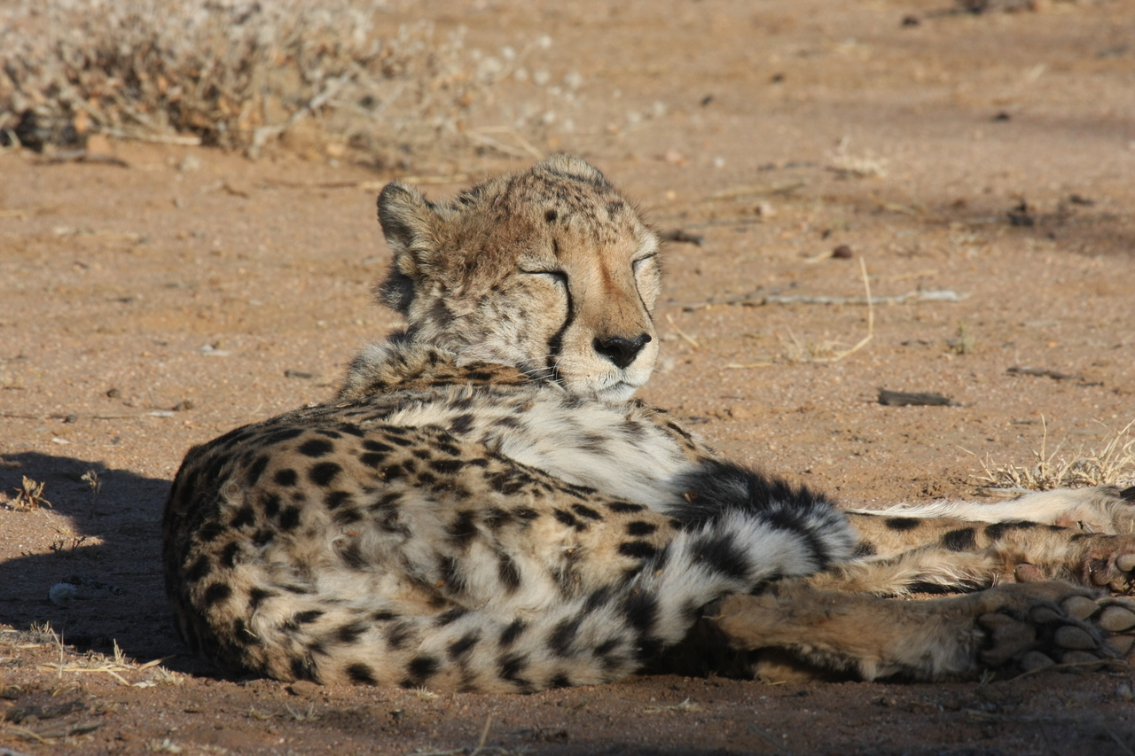 [795] 2016_06_22_02_45_59_Africa_Canon_EOS_40D_IMG__07551.jpg