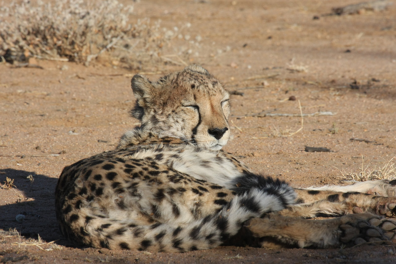 [797] 2016_06_22_02_46_01_Africa_Canon_EOS_40D_IMG__00087.jpg