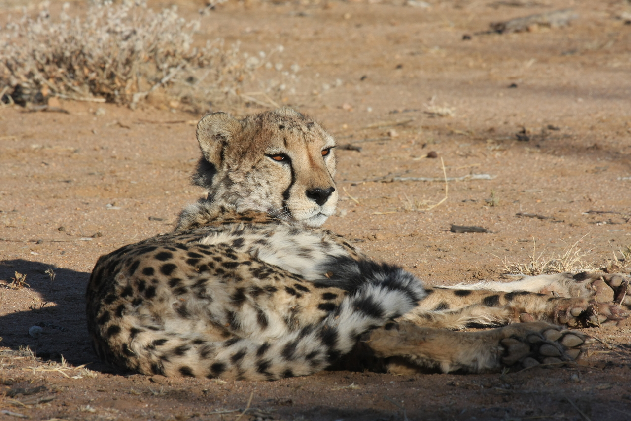 [810] 2016_06_22_02_46_08_Africa_Canon_EOS_40D_IMG__00110.jpg