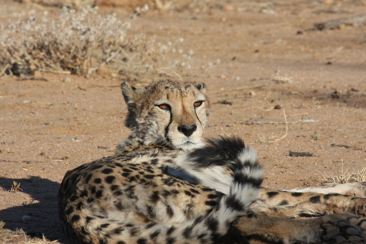 [831] 2016_06_22_02_46_14_Africa_Canon_EOS_40D_IMG__07563.jpg