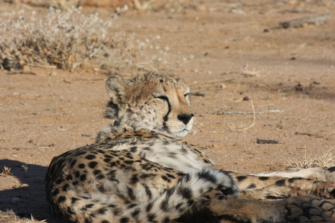 [839] 2016_06_22_02_46_17_Africa_Canon_EOS_40D_IMG__00101.jpg