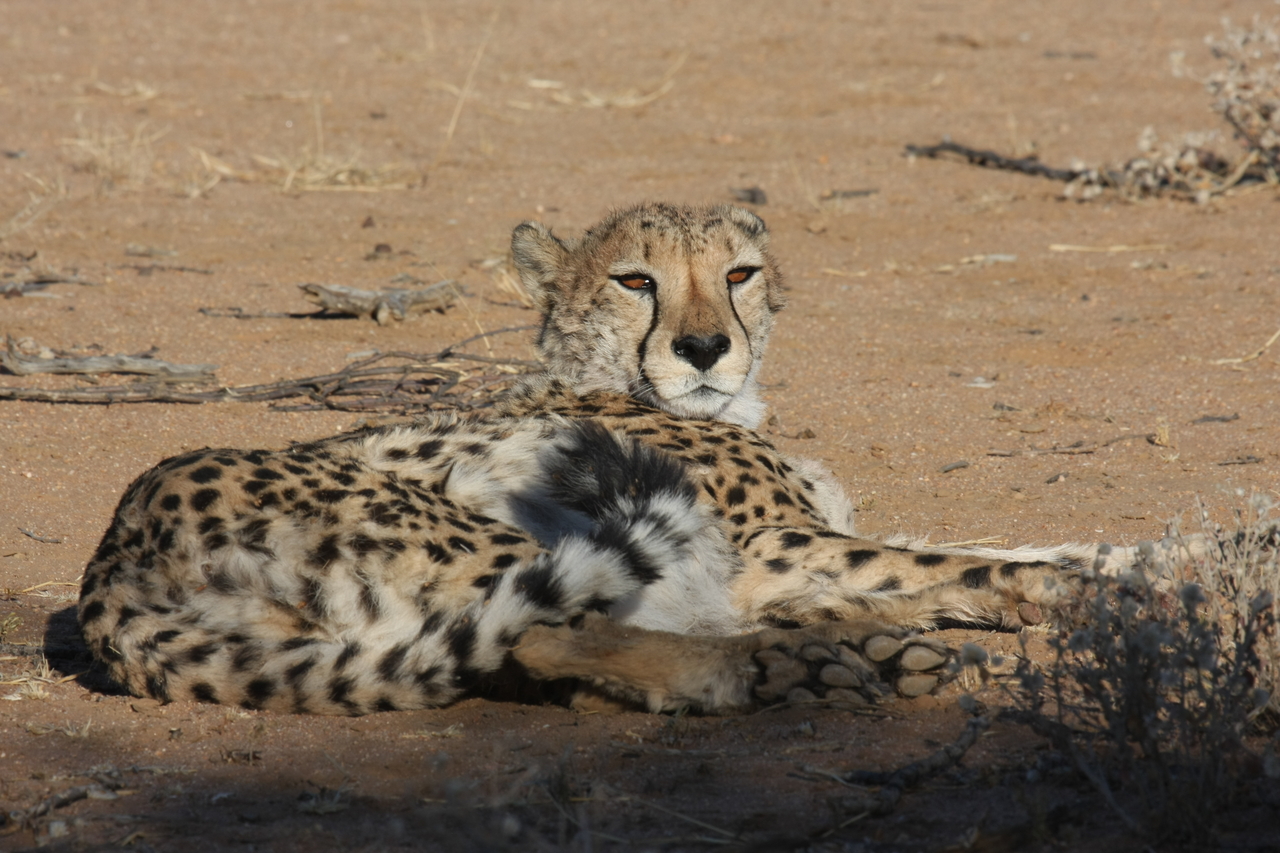 [855] 2016_06_22_02_47_02_Africa_Canon_EOS_40D_IMG__00107.jpg