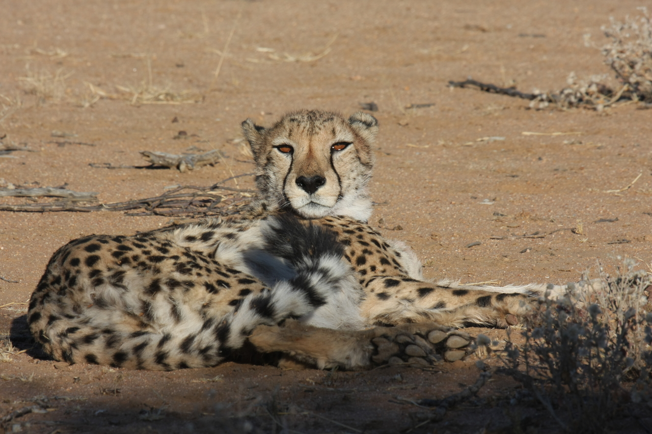 [868] 2016_06_22_02_47_03_Africa_Canon_EOS_40D_IMG__07576.jpg