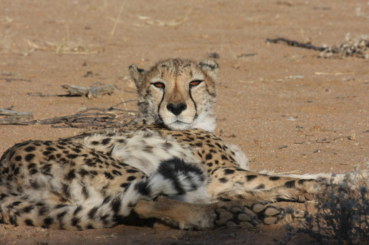 [872] 2016_06_22_02_47_07_Africa_Canon_EOS_40D_IMG__00131.jpg