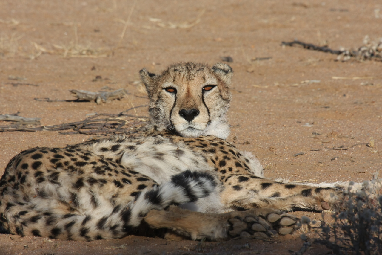 [875] 2016_06_22_02_47_08_Africa_Canon_EOS_40D_IMG__00113.jpg