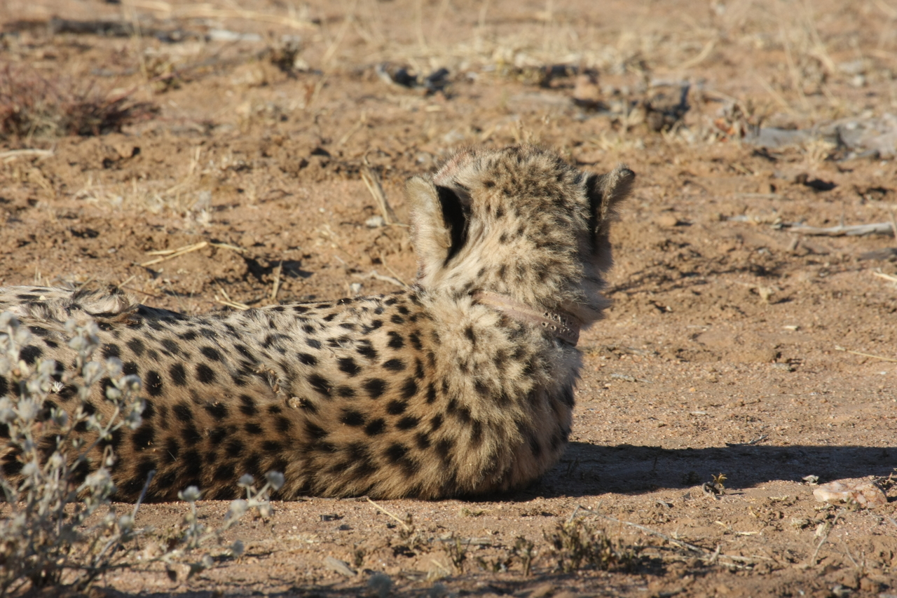 [898] 2016_06_22_02_48_09_Africa_Canon_EOS_40D_IMG__07586.jpg