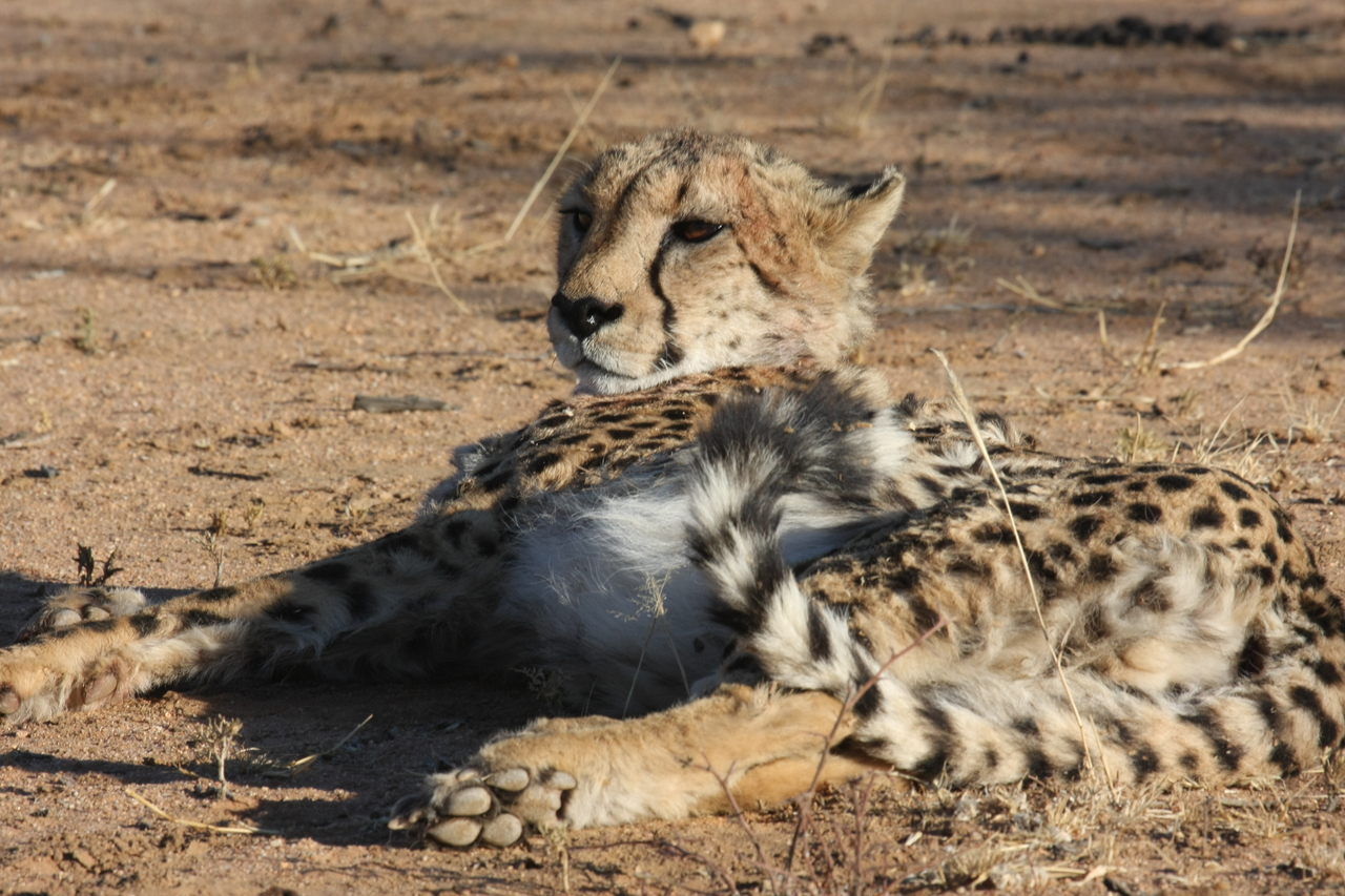 [899] 2016_06_22_02_48_45_Africa_Canon_EOS_40D_IMG__00121.jpg