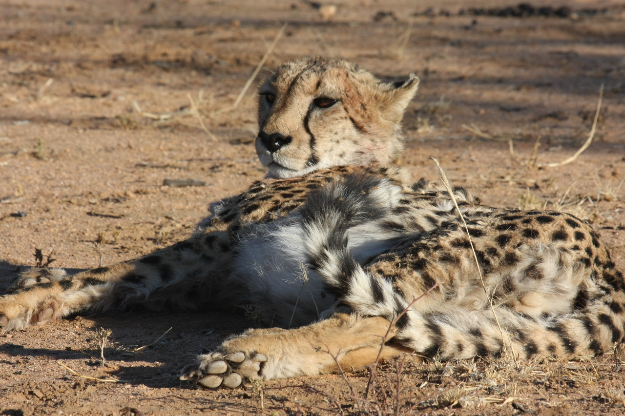 [904] 2016_06_22_02_48_45_Africa_Canon_EOS_40D_IMG__07588.jpg