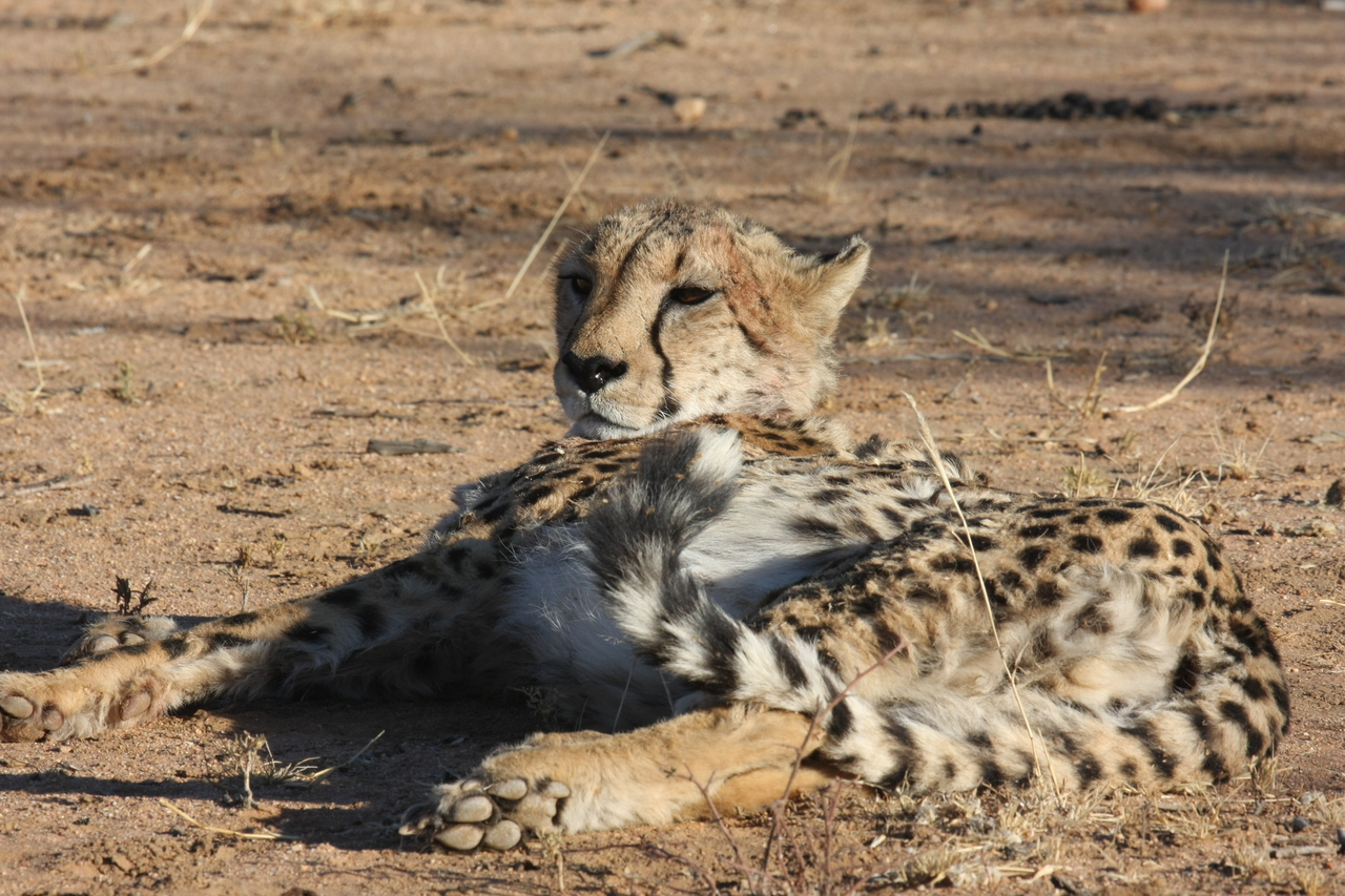 [927] 2016_06_22_02_48_52_Africa_Canon_EOS_40D_IMG__07593.jpg