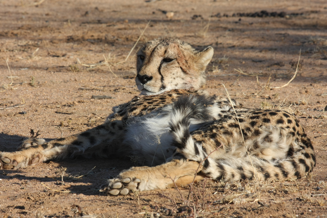 [932] 2016_06_22_02_48_53_Africa_Canon_EOS_40D_IMG__00128.jpg