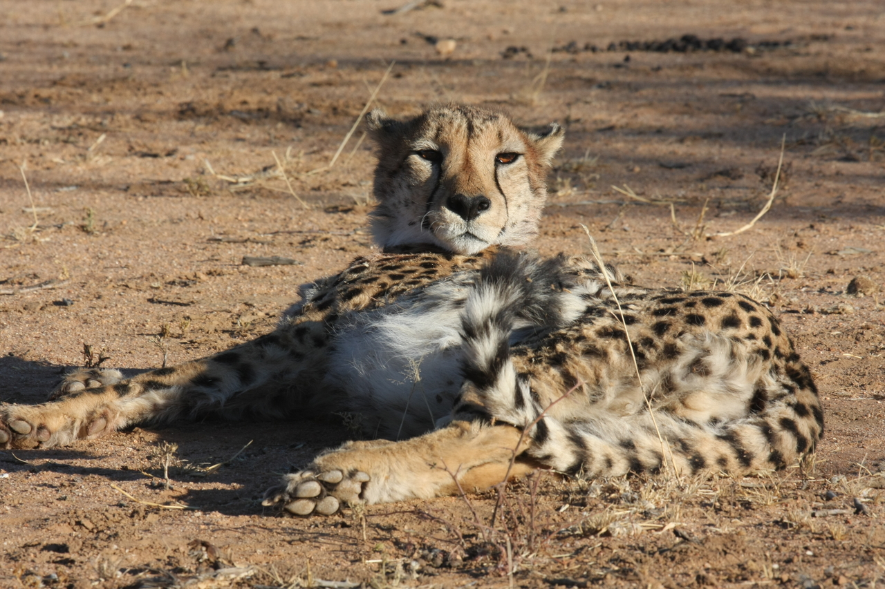 [935] 2016_06_22_02_48_57_Africa_Canon_EOS_40D_IMG__00129.jpg