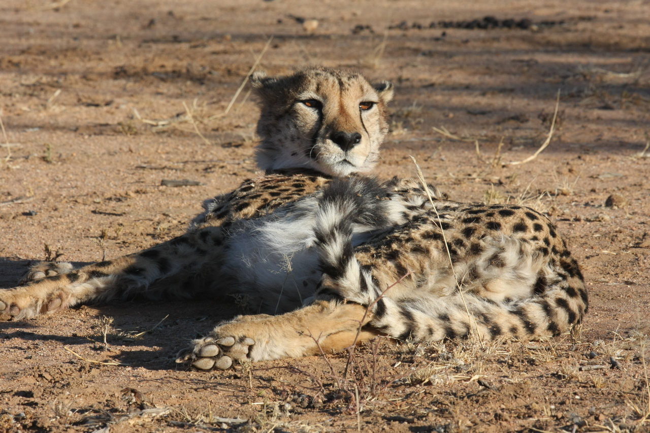 [938] 2016_06_22_02_48_57_Africa_Canon_EOS_40D_IMG__00149.jpg