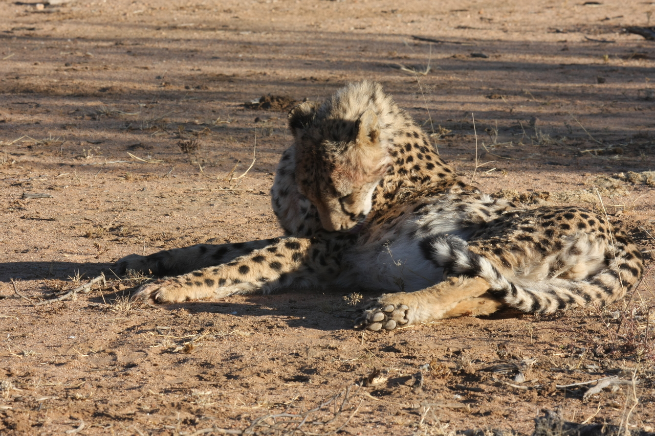 [947] 2016_06_22_02_49_36_Africa_Canon_EOS_40D_IMG__00133.jpg