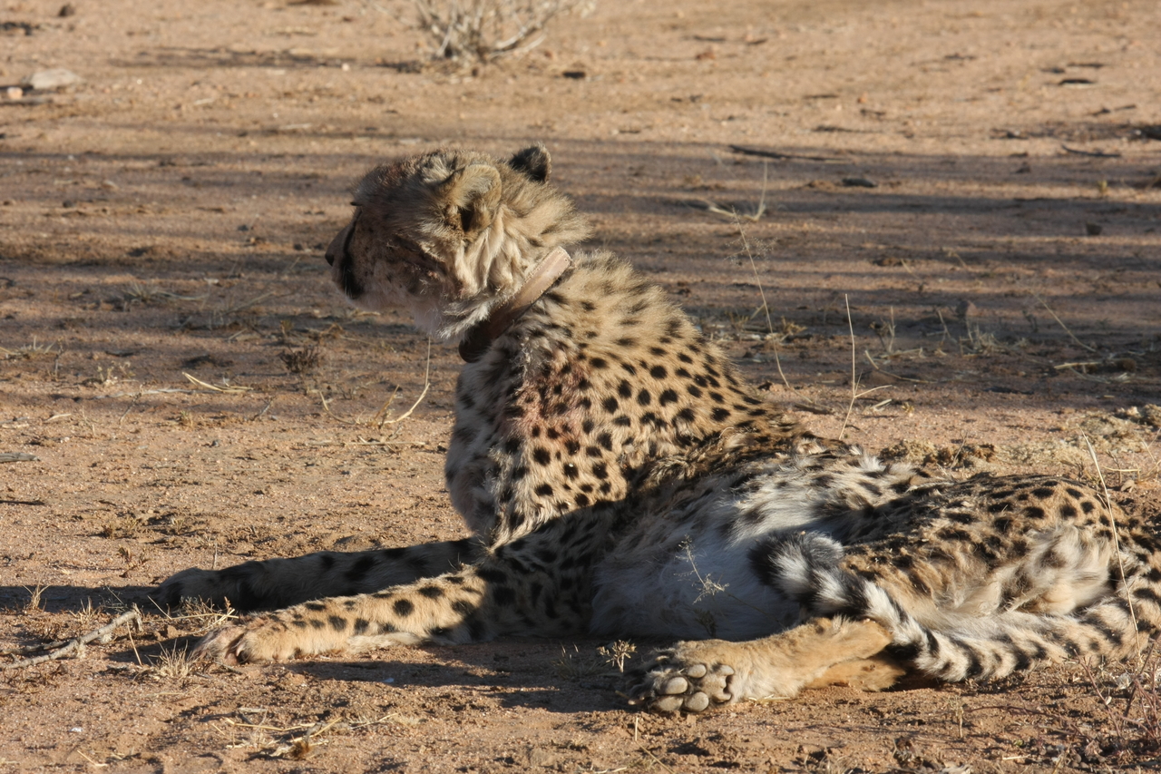 [957] 2016_06_22_02_49_55_Africa_Canon_EOS_40D_IMG__07601.jpg