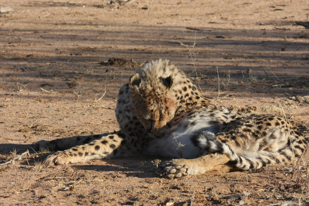 [977] 2016_06_22_02_50_02_Africa_Canon_EOS_40D_IMG__00162.jpg