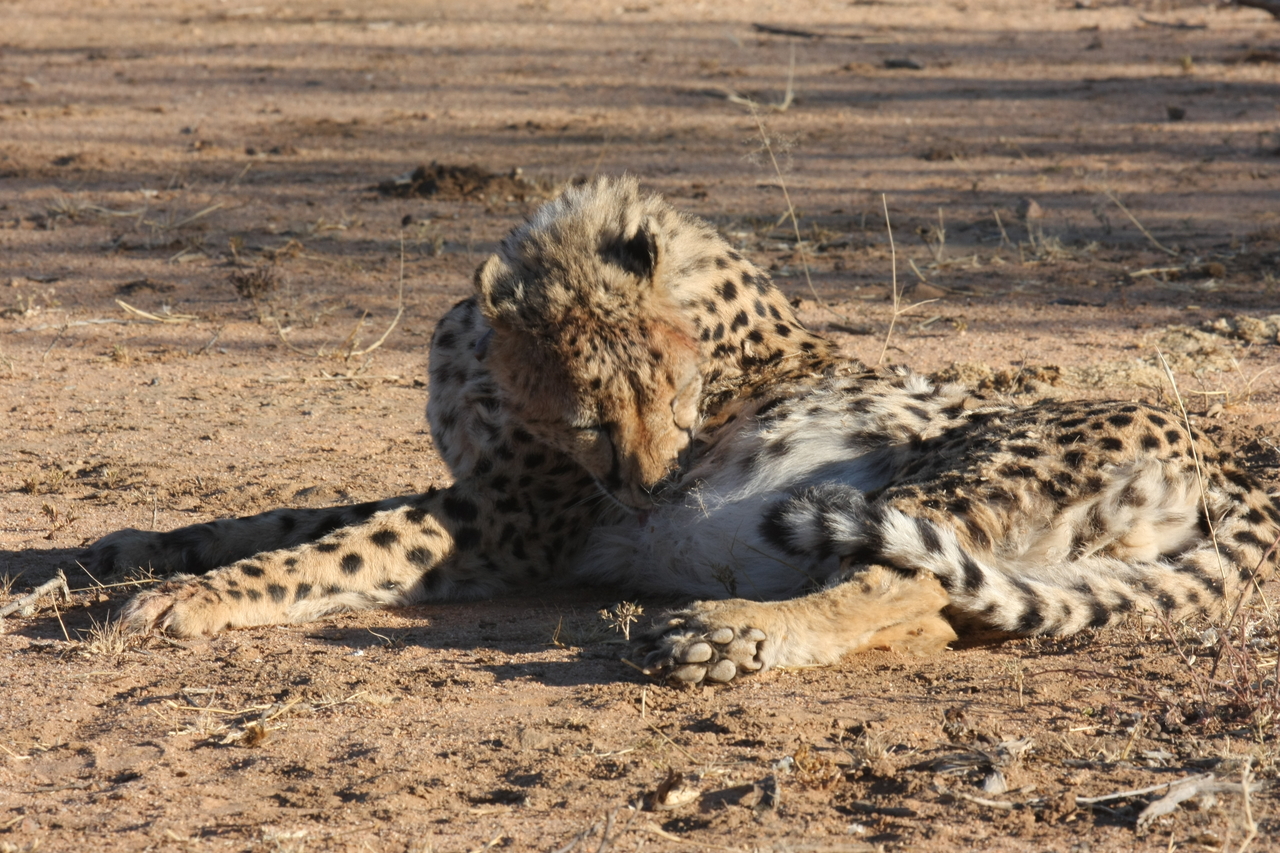 [1003] 2016_06_22_02_50_38_Africa_Canon_EOS_40D_IMG__07617.jpg