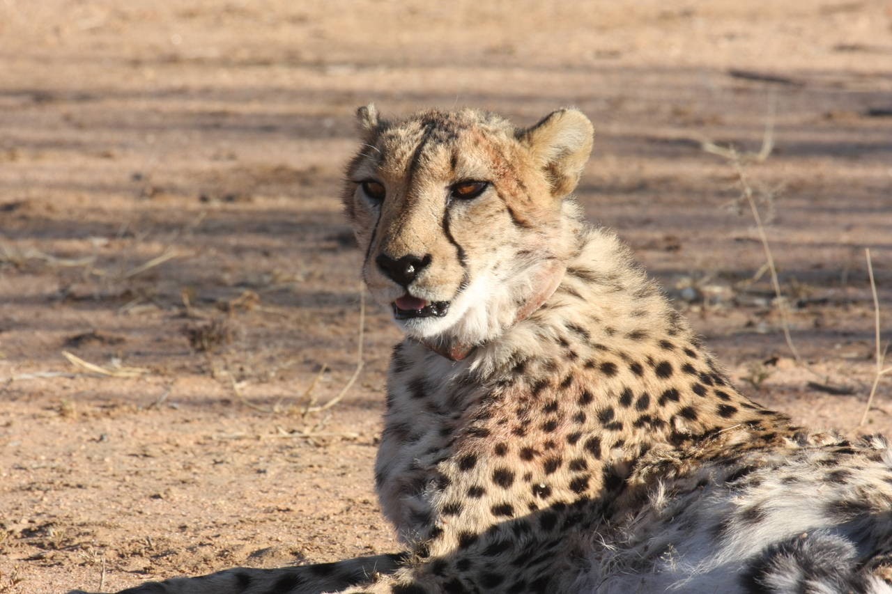 [1025] 2016_06_22_02_51_03_Africa_Canon_EOS_40D_IMG__00177.jpg