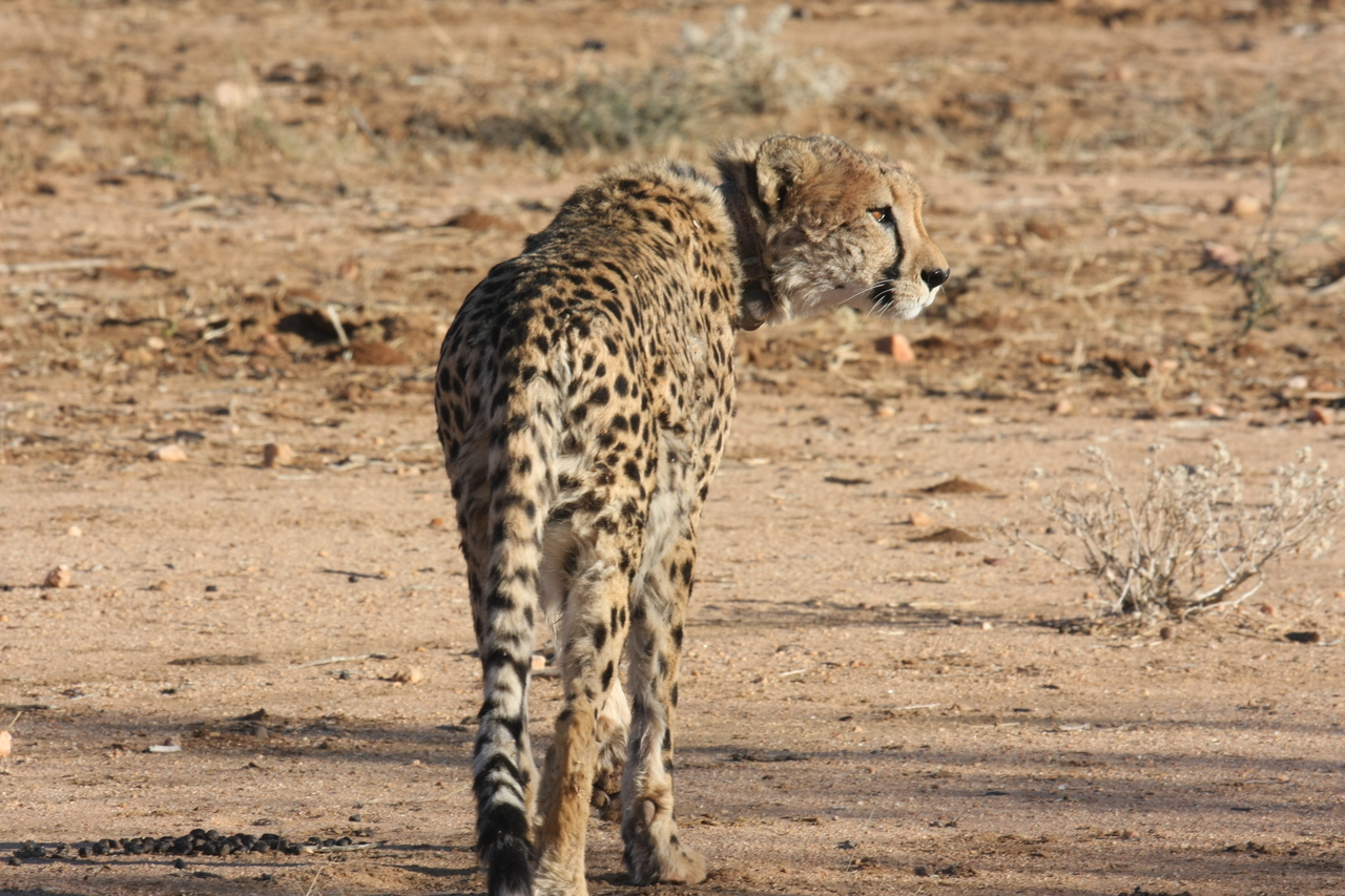 [1059] 2016_06_22_02_51_54_Africa_Canon_EOS_40D_IMG__07635.jpg