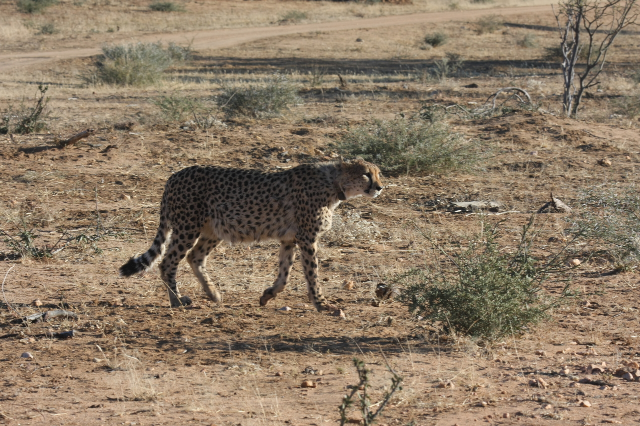 [1207] 2016_06_22_02_56_06_Africa_Canon_EOS_40D_IMG__00228.jpg