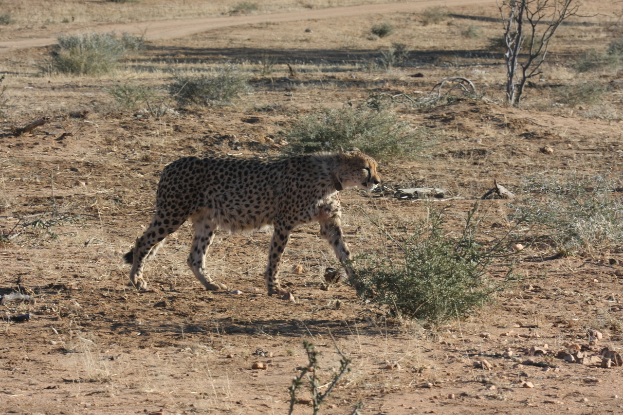 [1208] 2016_06_22_02_56_06_Africa_Canon_EOS_40D_IMG__00229.jpg