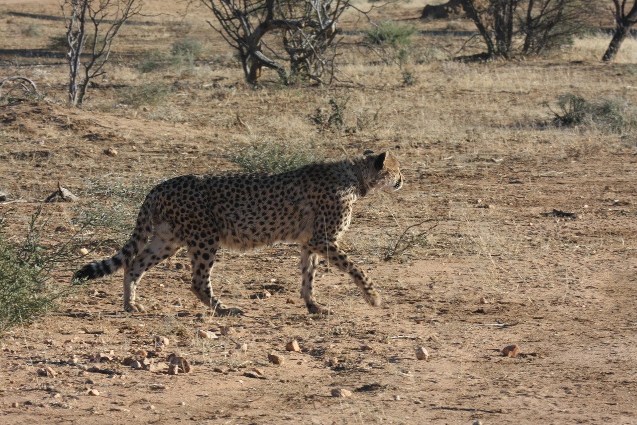 [1212] 2016_06_22_02_56_09_Africa_Canon_EOS_40D_IMG__00212.jpg