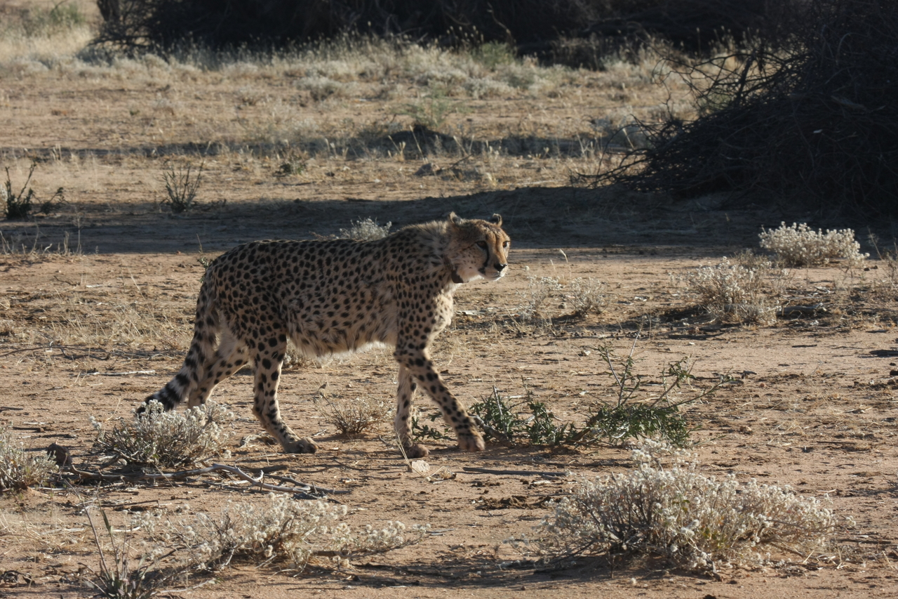 [1222] 2016_06_22_02_56_16_Africa_Canon_EOS_40D_IMG__00233.jpg